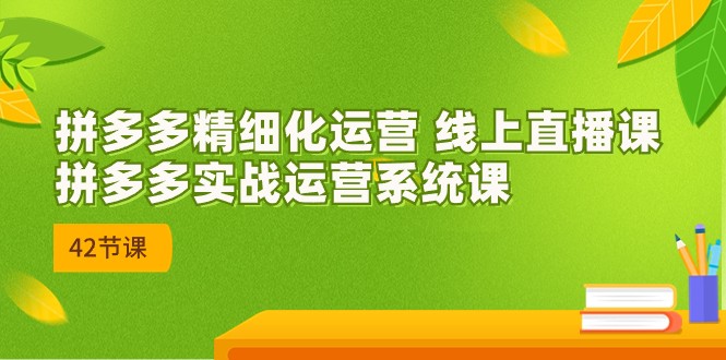 拼多多精细化运营 线上直播课：拼多多实战运营系统课（更新47节）-网创资源