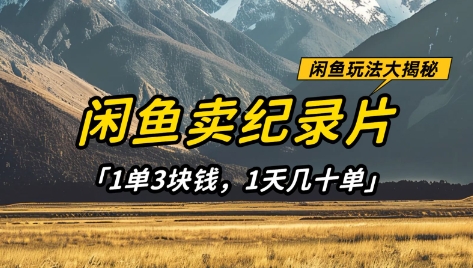 闲鱼卖纪录片1单3块钱，1天几十单，项目稳定有潜力-网创资源