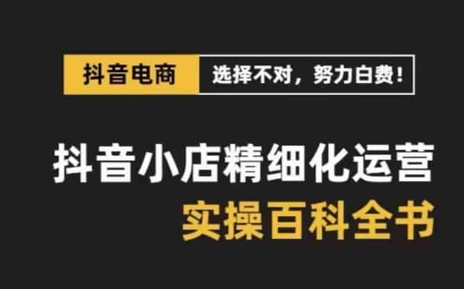 抖音小店精细化运营百科全书，保姆级运营实战讲解（2024更新）-网创资源