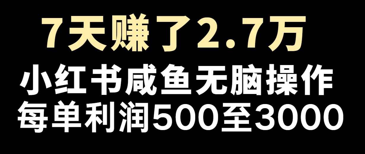 七天赚了2.7万！每单利润最少500+，轻松月入5万+小白有手就行-网创资源