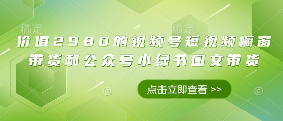 价值2980的视频号短视频橱窗带货和公众号小绿书图文带货-网创资源