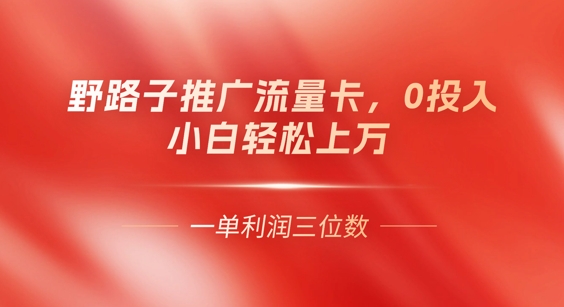 0门槛推广流量卡，一单收益上百，0投入，小白月入过W-网创资源