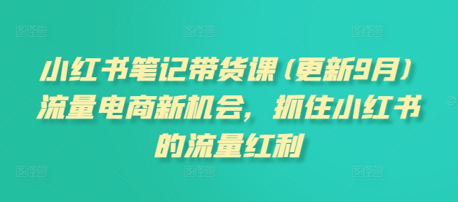 小红书笔记带货课(更新25年3月)流量电商新机会，抓住小红书的流量红利-网创资源