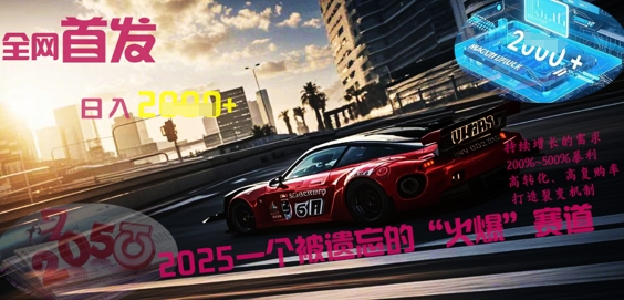 全网首发：2025一个被遗忘的“火爆”赛道轻松日入多张-网创资源