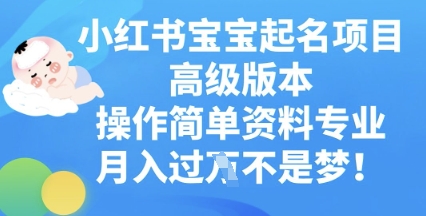 小红书宝宝起名项目高级版本，操作简单，资料专业，月入过W-网创资源