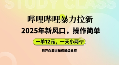 哔哩哔哩暴力拉新：2025年新风口，一单12元，一天数张(附开白渠道和保姆级教程)-网创资源