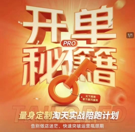 淘宝开单秘籍PRO，量身定制淘天实战陪跑计划，告别做店迷茫、快速突破运营瓶颈期-网创资源