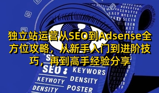 独立站运营从SEO到Adsense全方位攻略，从新手入门到进阶技巧，再到高手经验分享-网创资源