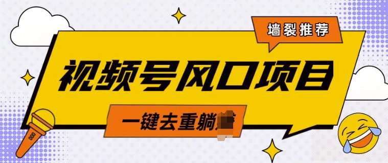 视频号风口蓝海项目，中老年人的流量密码，简单无脑，一键去重，轻松月入过W-网创资源
