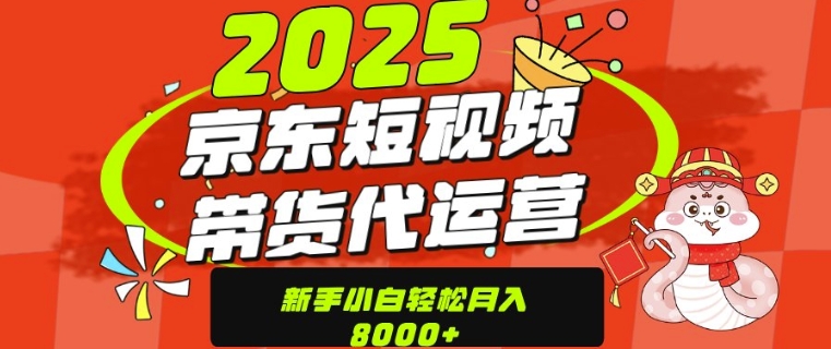 京东带货代运营，年底翻身项目，只需上传视频，单月稳定变现8k-网创资源