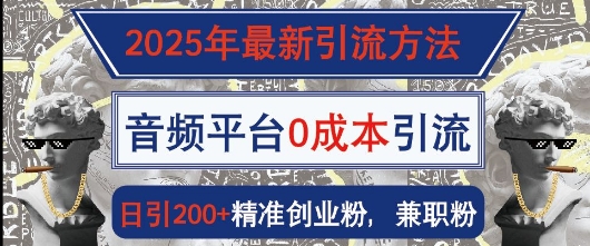 2025年最新引流方法，音频平台0成本引流，日引200+精准创业粉-网创资源