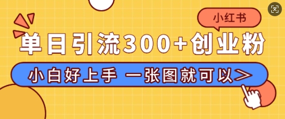 小红书单日引流300+创业粉，“简单粗暴”引流法，小白好上手，私信回不完-网创资源