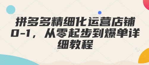 拼多多精细化运营店铺0-1，从零起步到爆单详细教程-网创资源