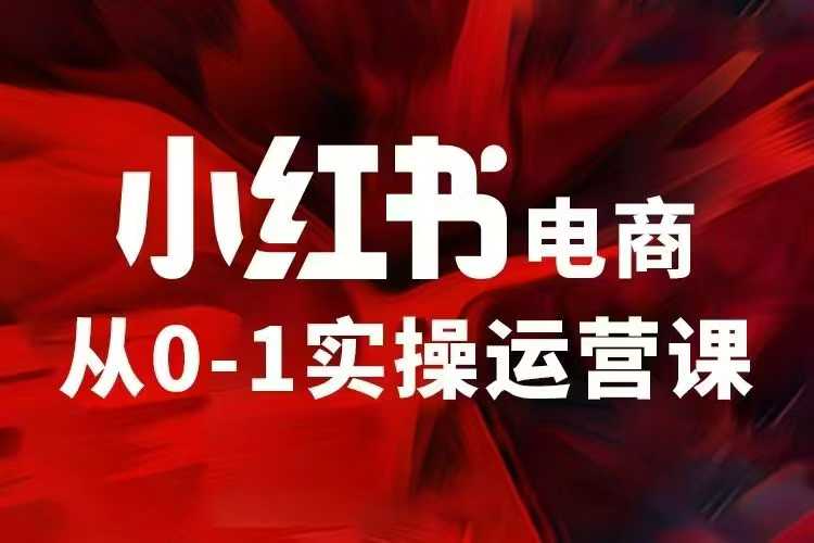 小红书电商运营，97节小红书vip内部课，带你实现小红书赚钱-网创资源