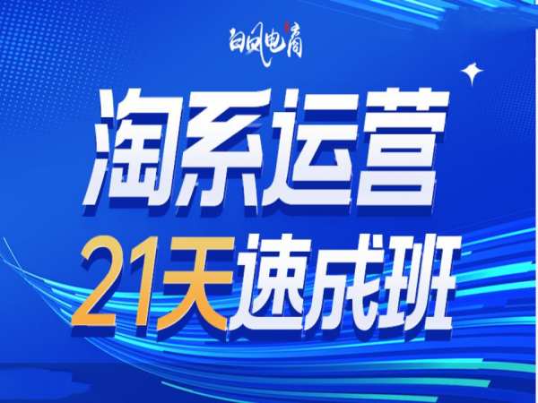 淘系运营21天速成班35期，年前最后一波和2025方向-网创资源