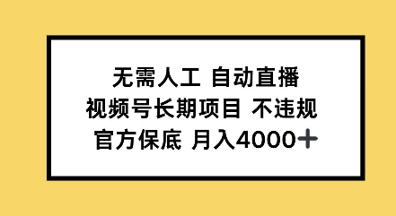 无需人工自动直播，视频号长期项目不违规，官方保底月入4000左右-网创资源
