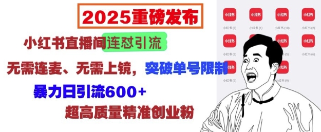 2025重磅发布：小红书直播间连怼引流，无需连麦、无需上镜，突破单号限制，暴力日引流600+-网创资源