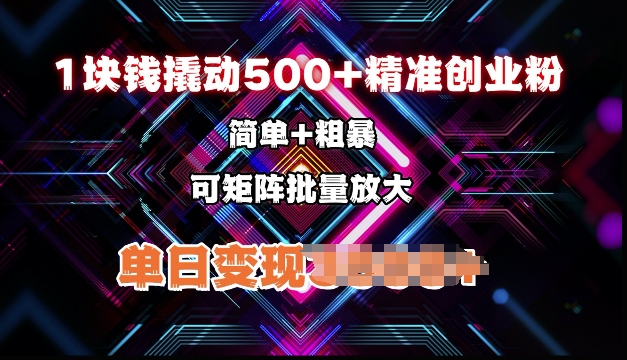 低价撬动500+精准创业粉，简单、粗暴、批量放大，单日变现多张-网创资源