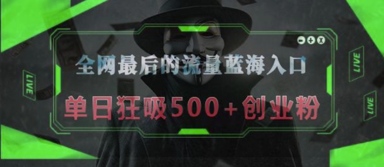全网最后的流量蓝海入口，半小时引流50+创业粉，单日狂吸500+创业粉-网创资源