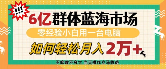 6亿群体蓝海市场，零经验小白用一台电脑，如何轻松月入过w【揭秘】-网创资源