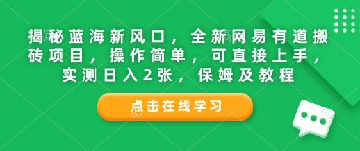 揭秘蓝海新风口，全新网易有道搬砖项目，操作简单，可直接上手，实测日入2张，保姆及教程-网创资源