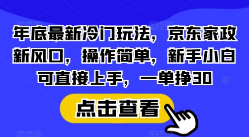 年底最新冷门玩法，京东家政新风口，操作简单，新手小白可直接上手，一单挣30【揭秘】-网创资源