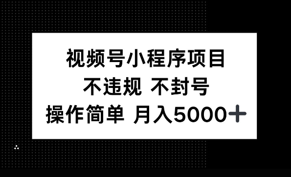 视频号小程序项目，不违规不封号，操作简单 月入5000+-网创资源
