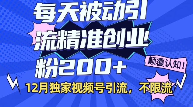 12月独家视频号引流每天被动引流精准创业粉200+不限流-网创资源