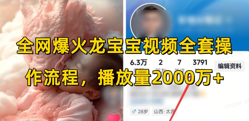 全网爆火龙宝宝视频全套操作流程，播放量2000万+-网创资源