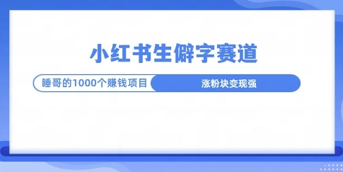 小红书生僻字玩法，快速涨分变现详解-网创资源