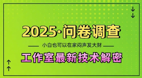 2025问卷调查最新工作室技术解密：一个人在家也可以闷声发大财，小白一天2张，可矩阵放大【揭秘】-网创资源