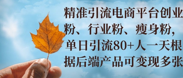 小投资撬动大收益，精准引流创业粉、行业粉，单日引流80+，一天可变现多张-网创资源