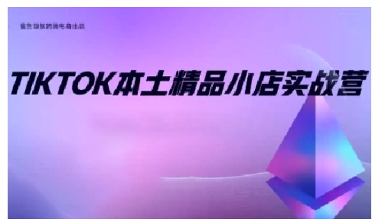 TikTok本土精品小店出海实战营，从入门到高阶，不止0-1!-网创资源