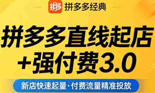 拼多多直线起店+强付费3.0，教你稳定起店、高效控投产、破解流量瓶颈（更新4月）-网创资源