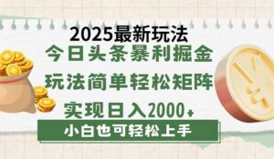 （14120期）今日今日头条2025全新游戏玩法，构思简易，拷贝，真正实现引流矩阵日入2000-中创网_专注互联网创业,项目资源整合-网创资源