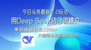 （14117期）今日今日头条全新2.0版本号，用Deep Seek融合今日今日头条做热文，单日盈利轻轻松松10…-中创网_专注互联网创业,项目资源整合-网创资源