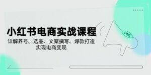 （14549期）小红书电商实战演练课程内容，详细说明起号、选款、文案撰写、爆款打造，完成电商变现-中创网_专注互联网创业,项目资源整合-网创资源