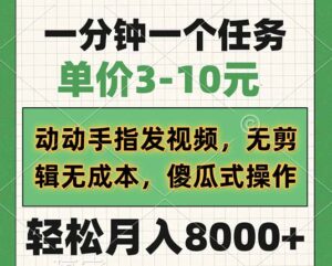 （14494期）一分钟一个任务，价格3-10元，动动手上传视频，无剪接无成本费，简单化操…-网创资源