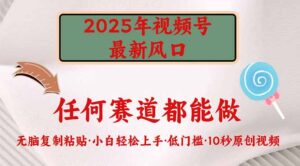 （14453期）2025年微信视频号新蓝海，门槛较低只需没脑子实行-网创资源