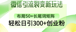 （14451期）微信加粉裂变式新模式：合理布局50 长尾关键词引流矩阵，轻轻松松日引300 自主创业粉-网创资源