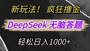 （14428期）新模式！运用DeepSeek，拷贝，没脑子简易解题，玩命撸新渠道盈利，轻…-网创资源