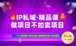（14406期）2025年“IP公域·密训班精品课程”，日赚3000 新手防坑月入十万，暴力行为引流方法…-网创资源