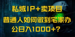 （14400期）公域IP 卖项目，平常人怎样做到蹲在家里办公室完成日入1000-网创资源