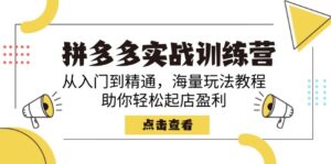 （14392期）拼多多实战训练营，从入门到精通，海量玩法教程，助你轻松起店盈利-网创资源