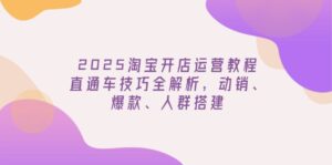 （14389期）2025淘宝开店运营教程更新，直通车技巧全解析，动销、爆款、人群搭建-网创资源