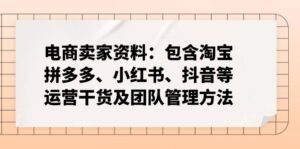 （14354期）跨境电商卖家材料：包括淘宝网、拼多多平台、小红书的、快手等经营干货知识及团队协作方式-网创资源