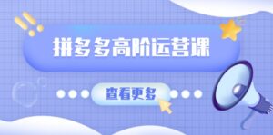 （14327期）拼多多平台高级运营课：完美群爆品游戏玩法，轻付钱无穷拷贝，打造出品类爆品之途-网创资源
