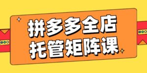 （14328期）拼多多平台店铺代管引流矩阵课，赢利促销游戏玩法，高效率方案设定，提升店铺经济效益-网创资源