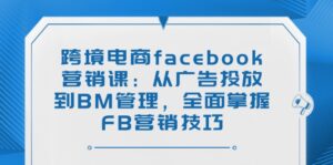 （14314期）跨境电子商务facebook营销课：从投放广告到BM管理方法，全面了解FB营销方法-网创资源