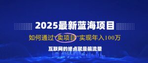 （14305期）2025全新蓝海项目，零门槛轻轻松松拷贝，月入10万 ，初学者也可以实际操作！-网创资源